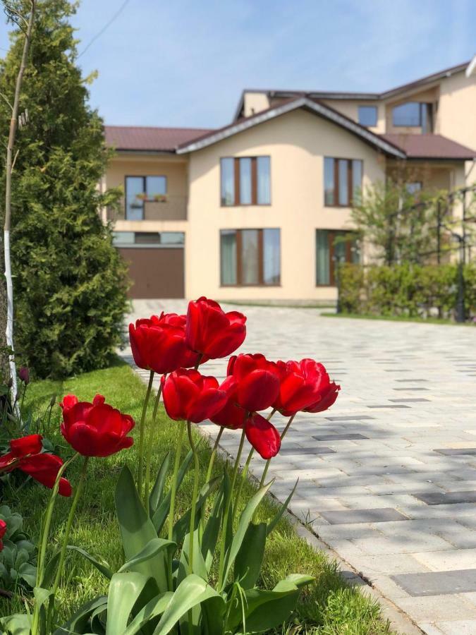 Eden Blue Hotell Costinesti Exteriör bild